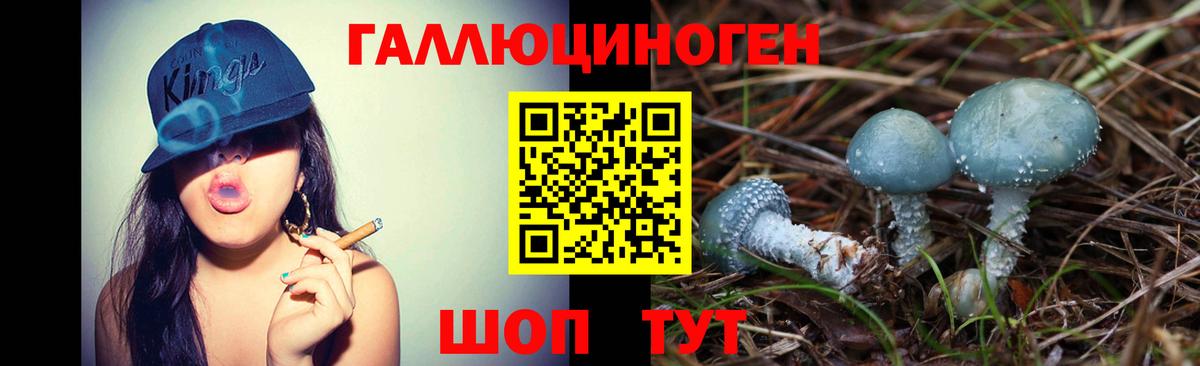 Галлюциногенные грибы Psilocybine cubensis  Вход с VPN  Саранск  Псилоцибиновые грибы MAGIC MUSHROOMS 